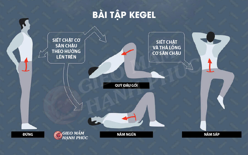 bài tập kegel cho nam giới chữa yếu sinh lý bài tập kegel cho nam giới chữa yếu sinh lý