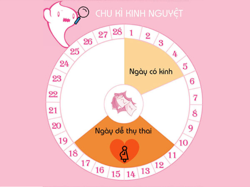 Thời kỳ rụng trứng là gì? Thời kỳ rụng trứng là gì?
